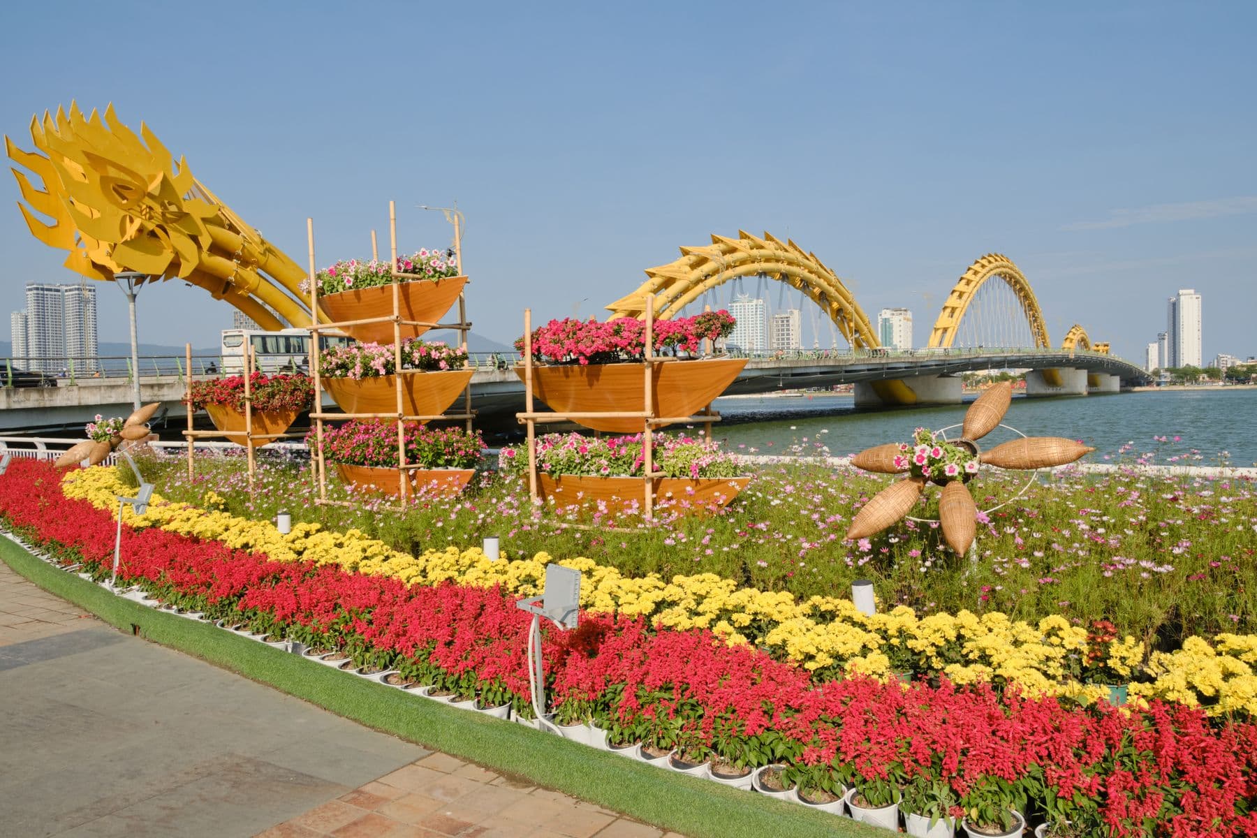 Flowers framing a bridge and the Da Nang skyline